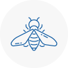 Bee Nest Removal Skipton