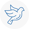 Bird Prevention Skipton