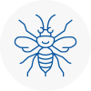 Skipton Hornet Nest Removals