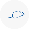 Mice Exterminators In Skipton