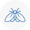 Moth Control Specialists In Skipton