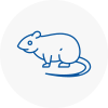 Rat Control Skipton