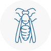 Skipton Wasp Nest Removal